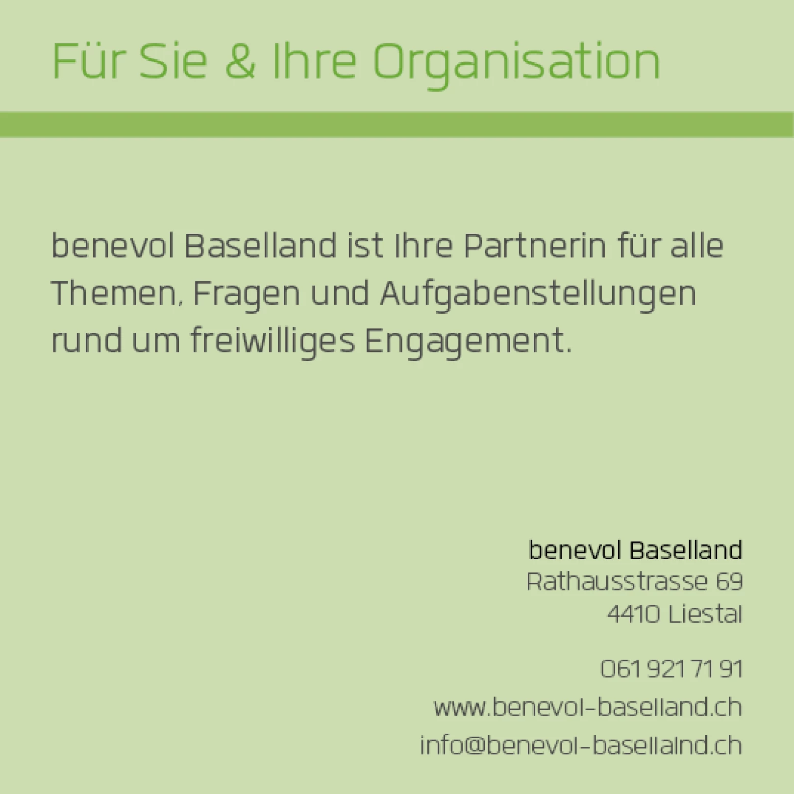Info-Grafik zu den Angeboten von benevol Baselland für Organisationen im Bereich freiwilliges Engagement